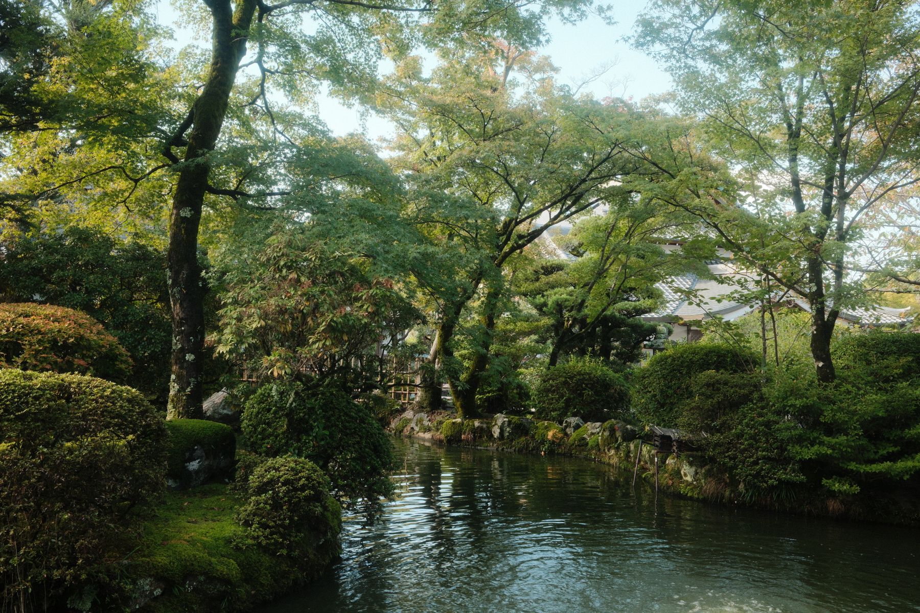 京都の伝統的な日本庭園