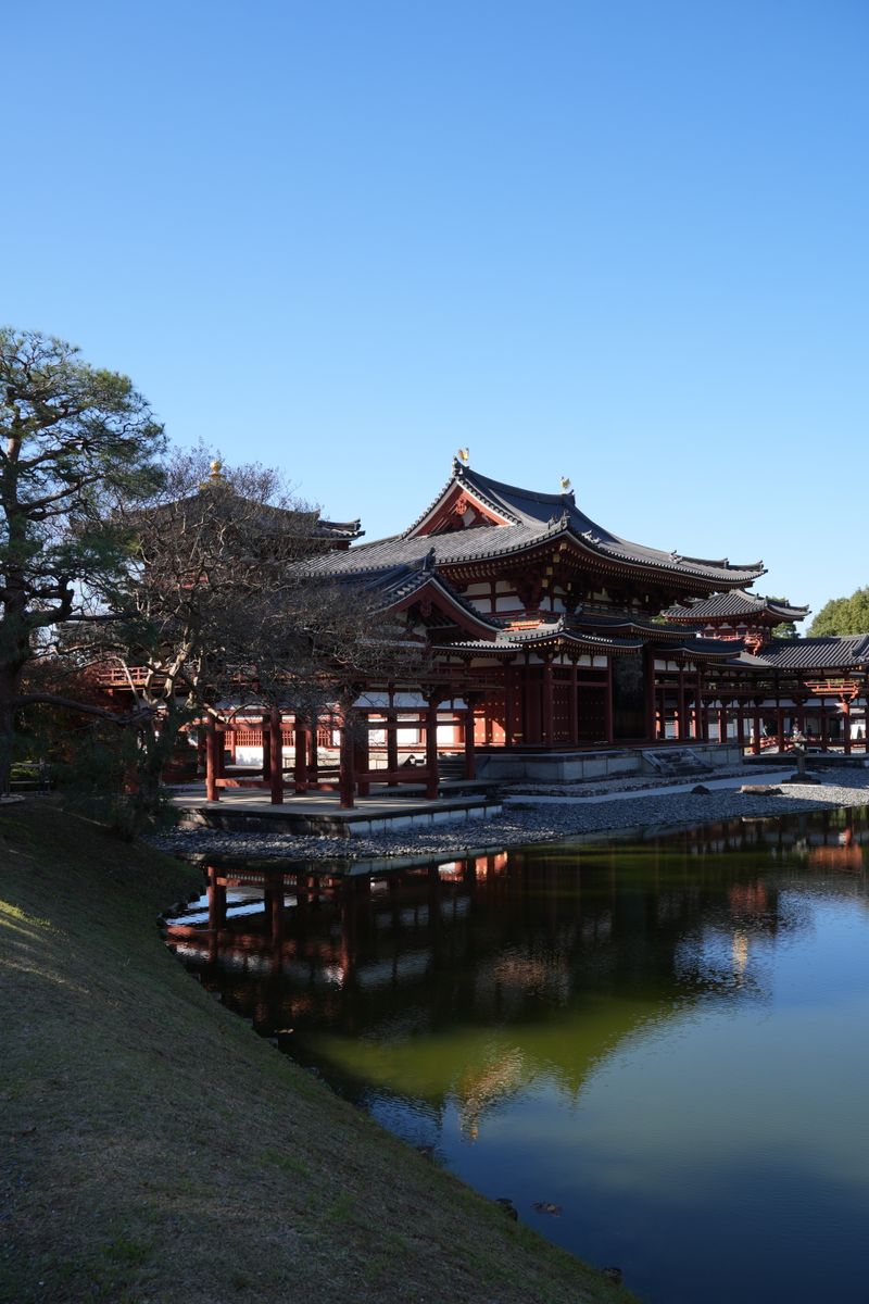 宇治・平等院鳳凰堂が池に映る風景