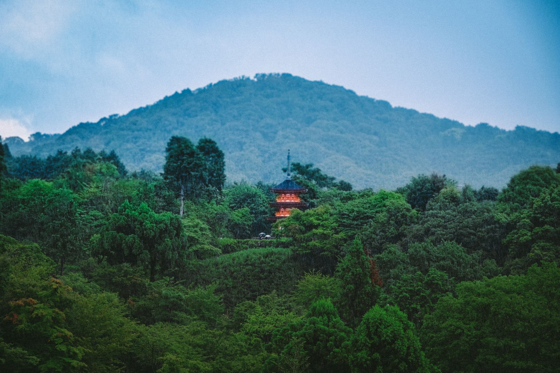 緑に包まれた塔と山寺の風景