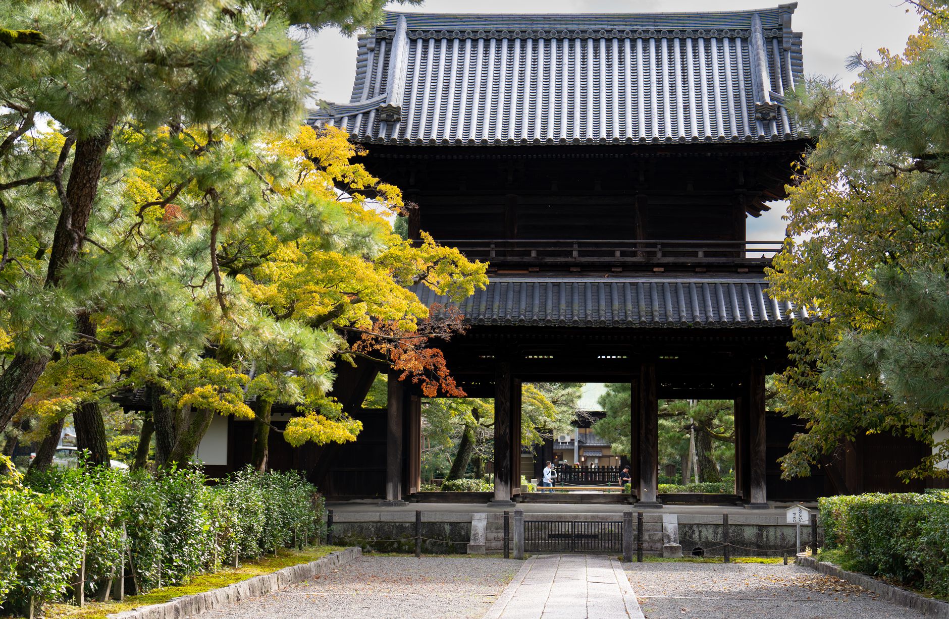 紅葉に包まれた日本の寺院の山門