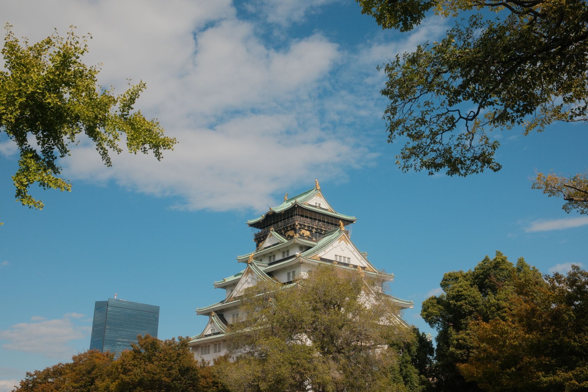 大阪の美術館建築のイメージ