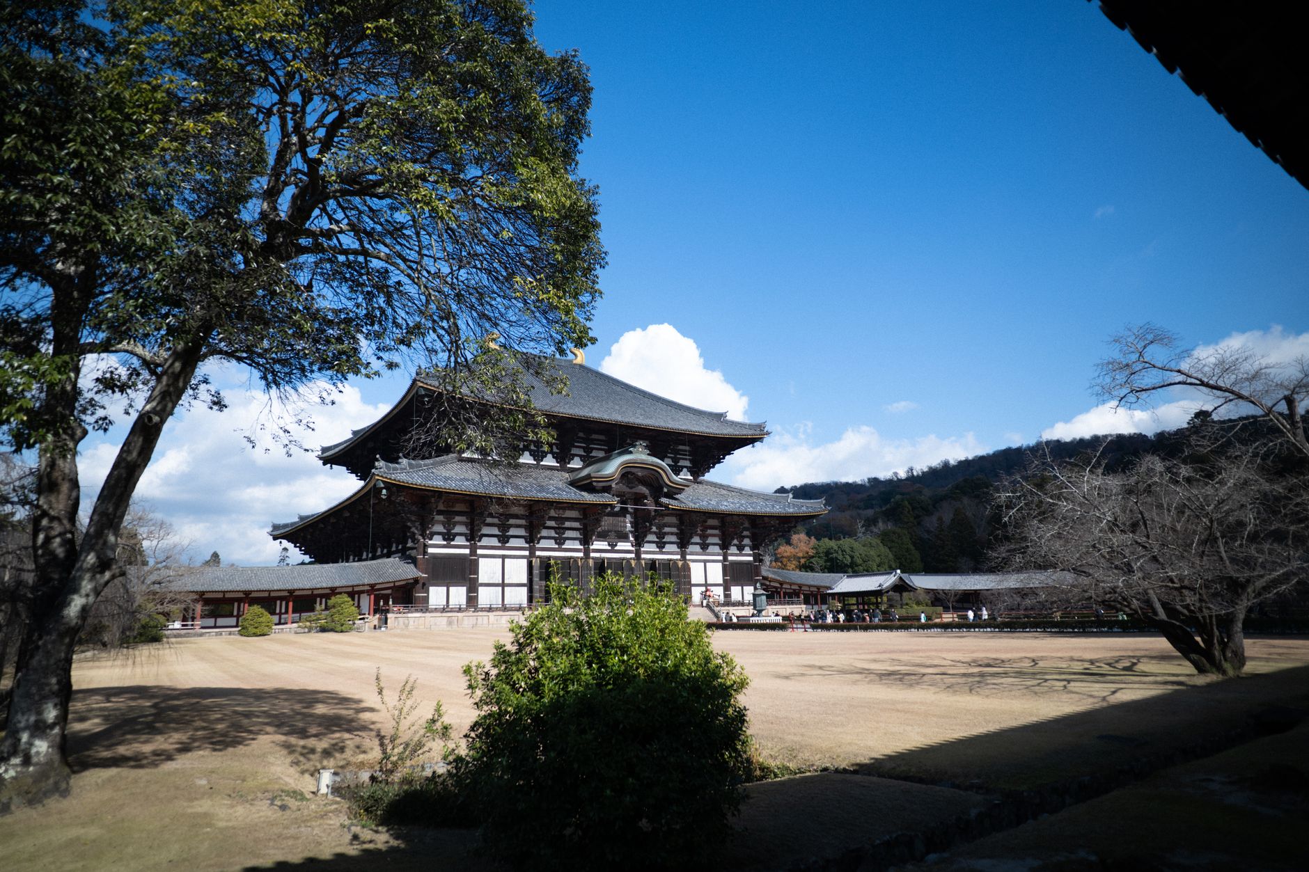 晴天の下の伝統的な日本の寺院建築