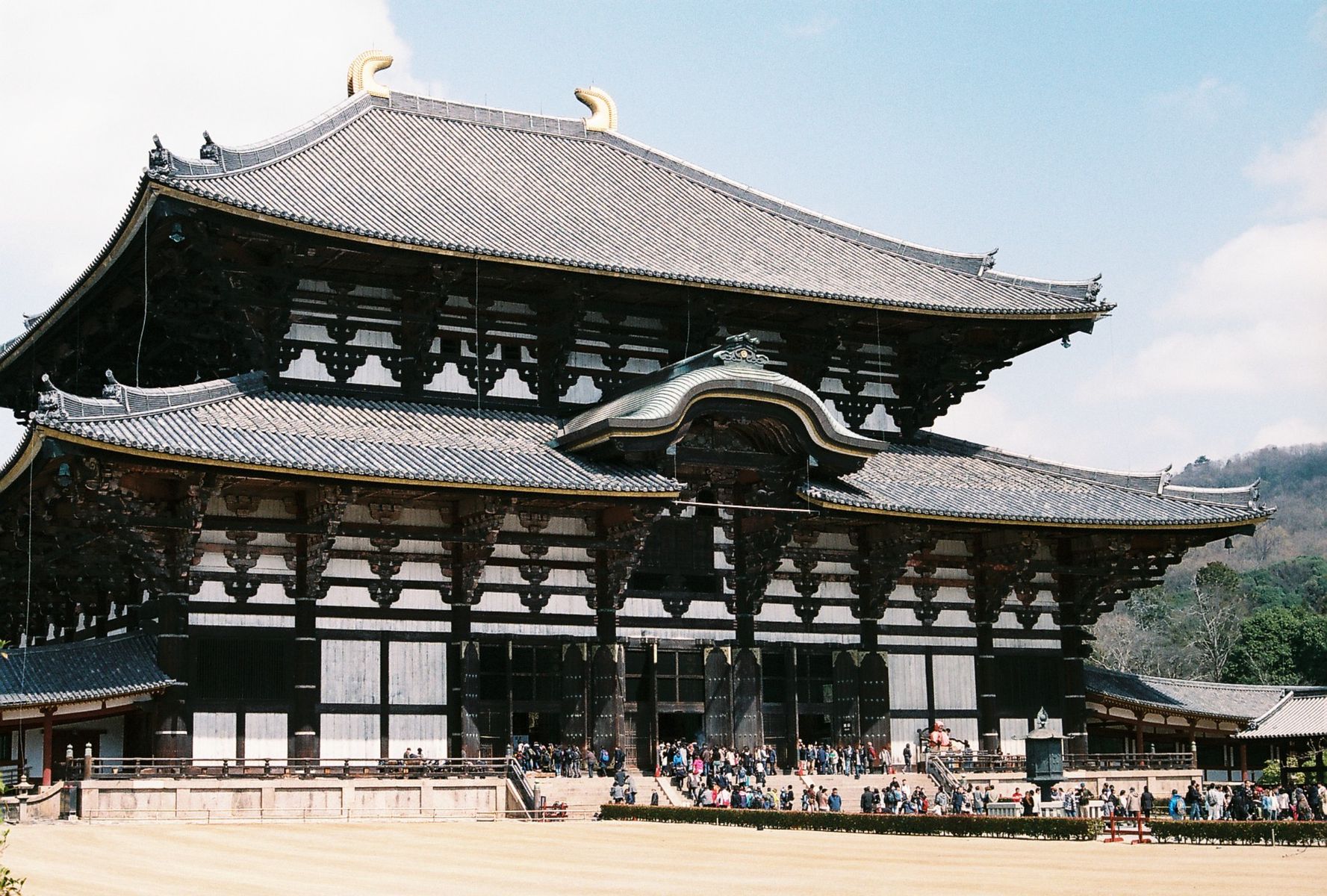 東大寺の伽藍、奈良のシンボル