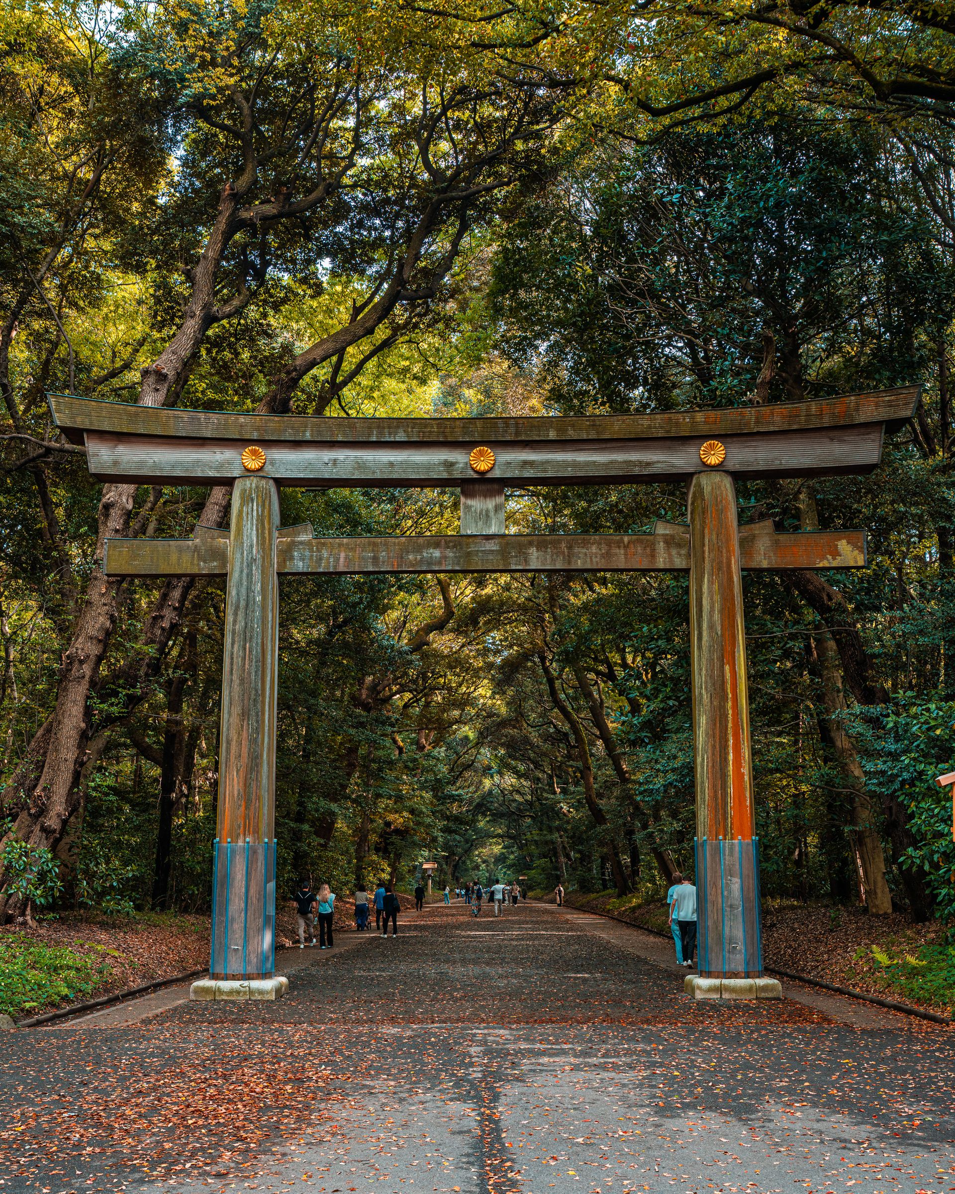 緑に囲まれた日本の参道と鳥居