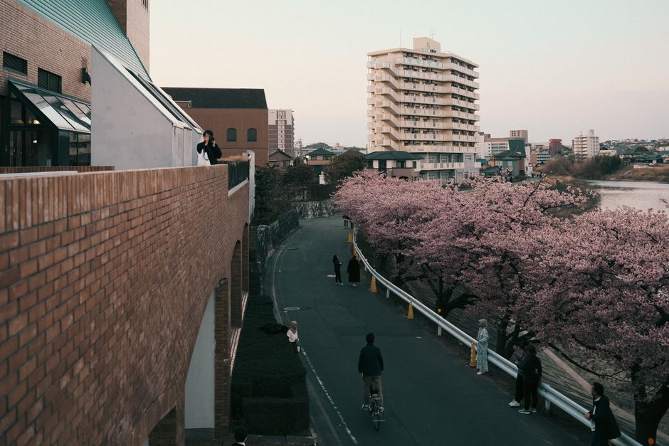 京都・岡崎エリアの美術館周辺の風景