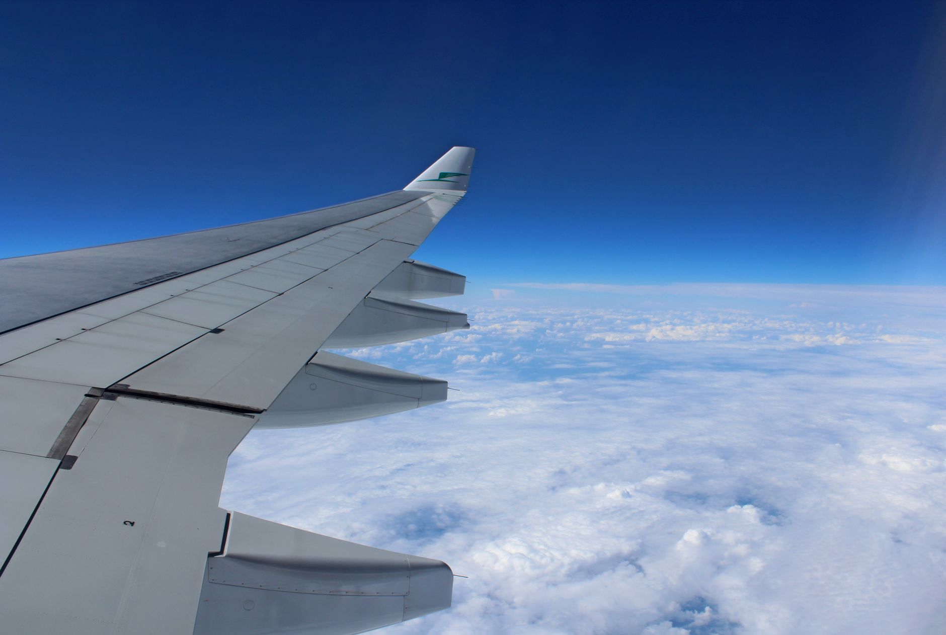 飛行機の翼と空