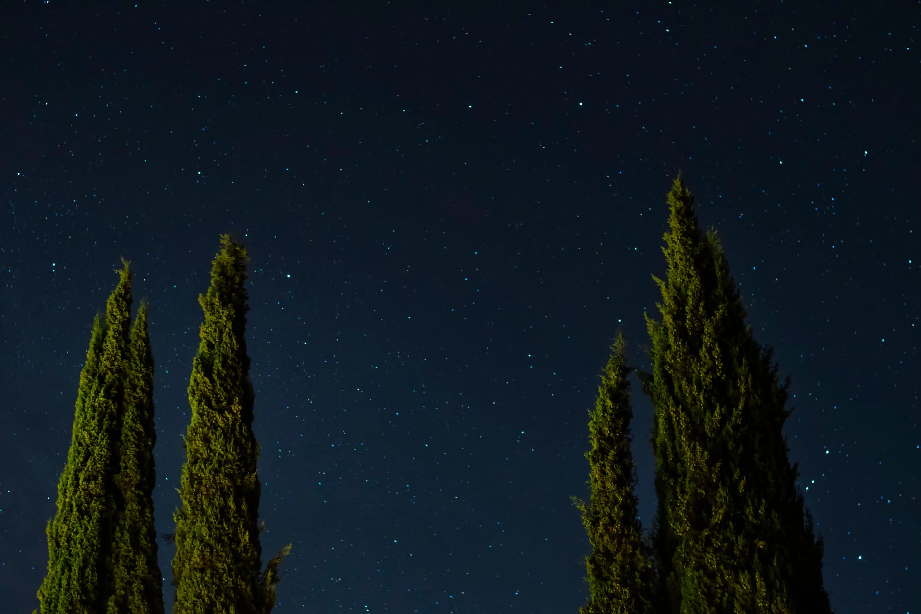 糸杉と夜空の風景