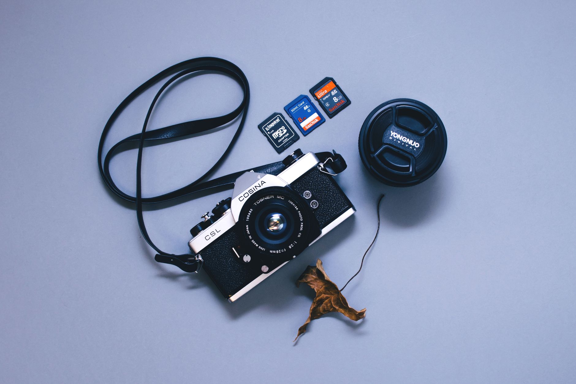 Flat lay of a vintage camera, memory cards, lens cap, and dry leaf.
