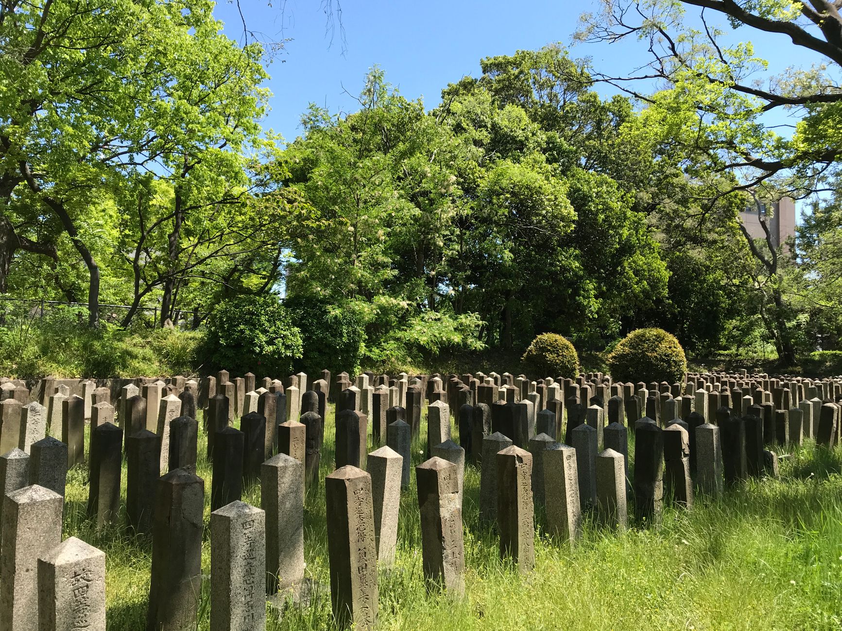 Peaceful cemetery with stone monuments surrounded by lush green trees under a clear blue sky.