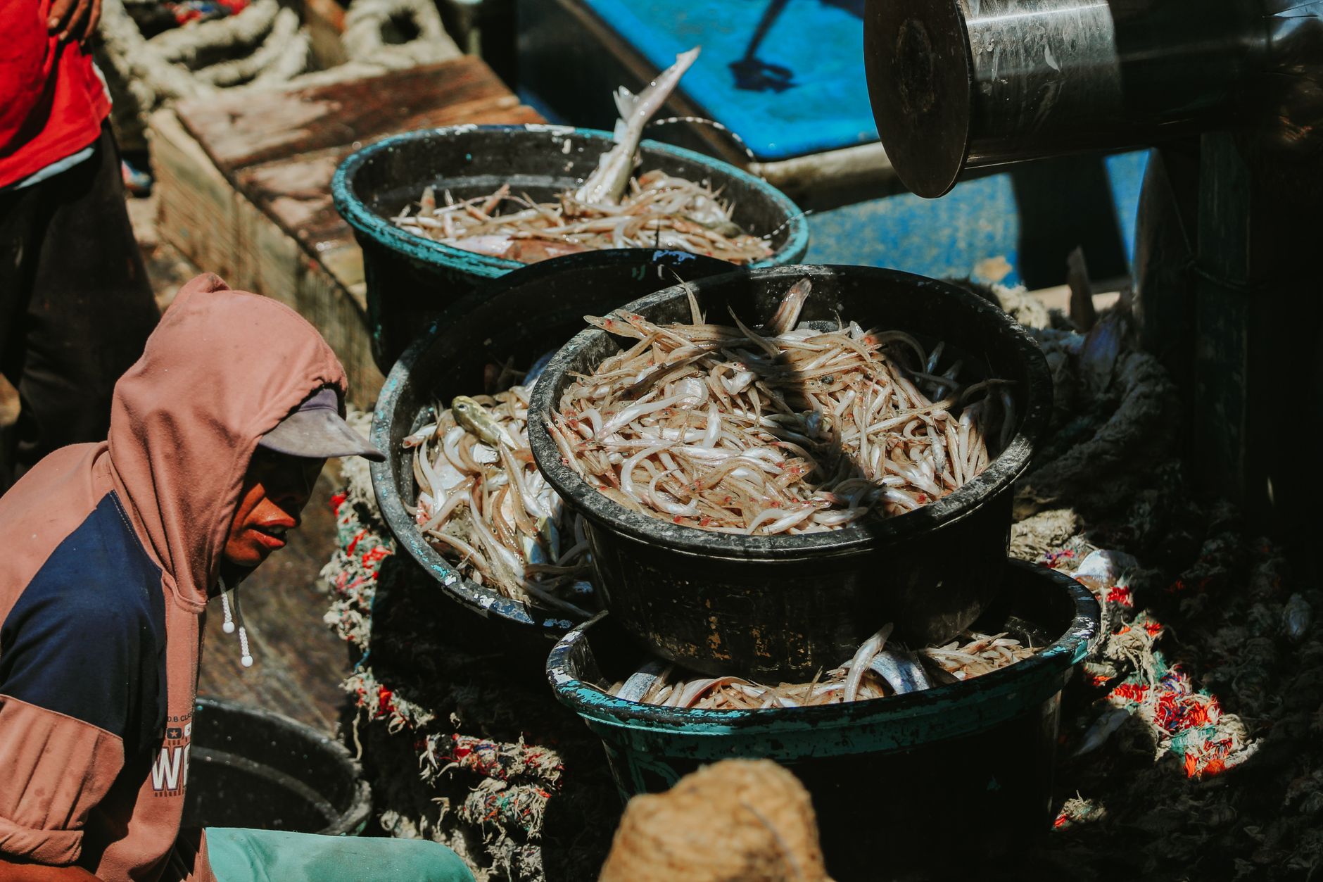 A fisherman sorts freshly caught fish in buckets aboard a boat in East Java.