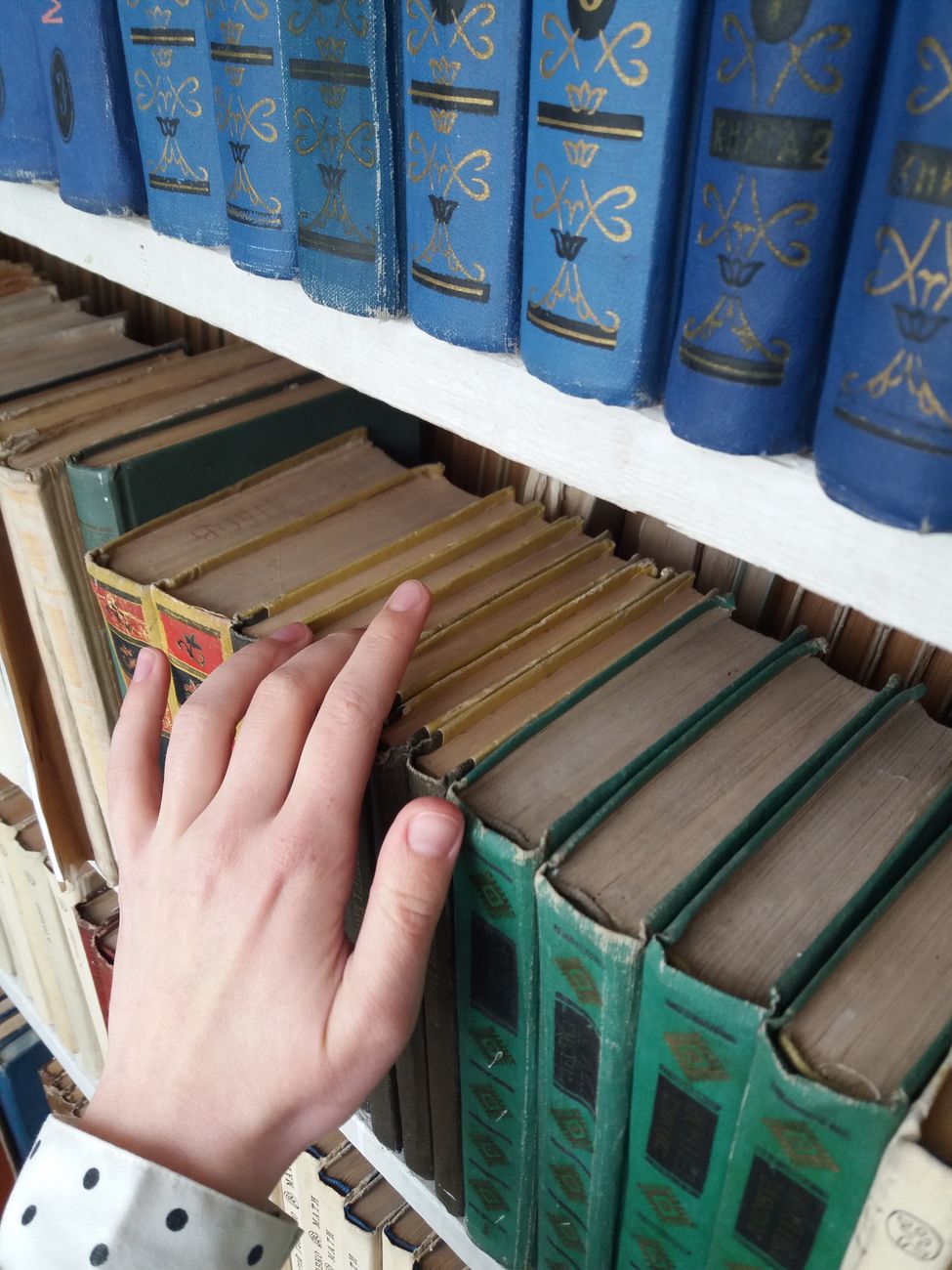 古本を手に取って選ぶ様子