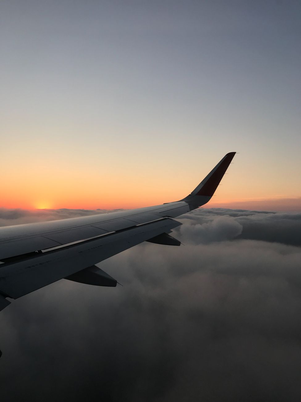 飛行機の翼と空