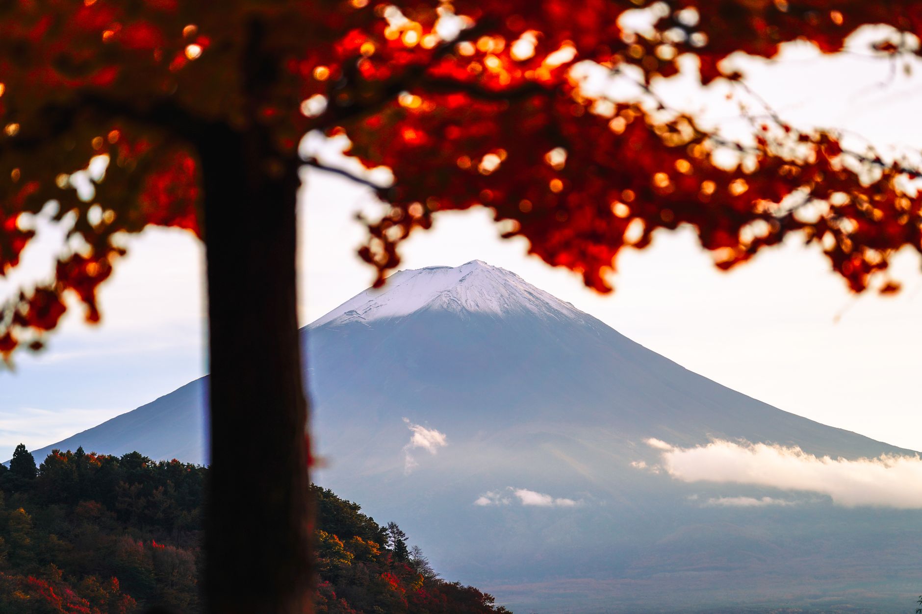 秋の山と自然の風景